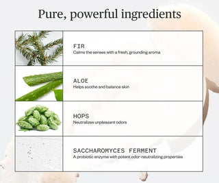 List of natural ingredients with their benefits on a white background
