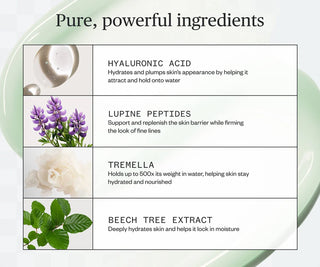 List of skincare ingredients with images and descriptions on a white background