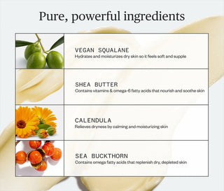 Ingredients infographic: vegan squalane, shea butter, calendula, sea buckthorn