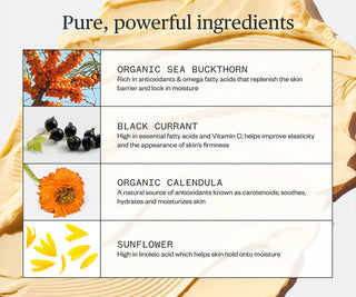 Ursa Major Golden Hour Recovery Cream