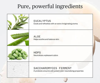 List of pure ingredients with images and descriptions on a light background