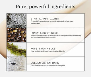 List of skincare ingredients with corresponding images and descriptions on a white background.