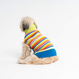 Verloop Circus Dog Sweater