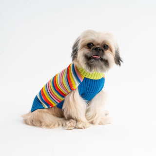 Verloop Circus Dog Sweater