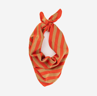 Orange and brown striped scarf on a white background