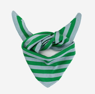 Green and light blue striped tied scarf on a white background