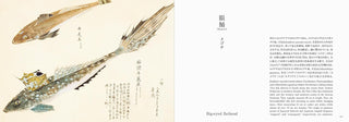 Fishes of Edo