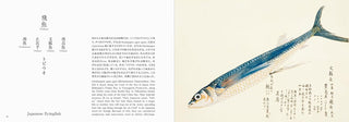 Fishes of Edo
