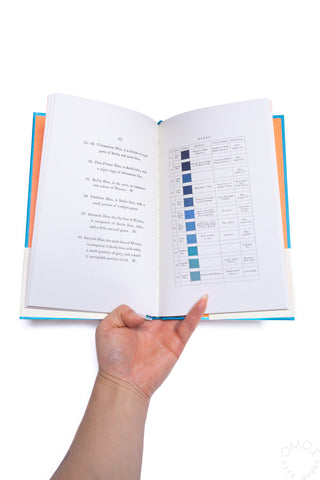 Hand holding an open book with text and blue swatches on a white background
