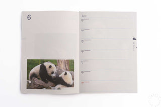 Panda 2025 Weekly B6 Planner Xiang Xiang