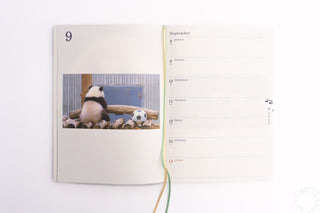 Panda 2025 Weekly B6 Planner Xiang Xiang