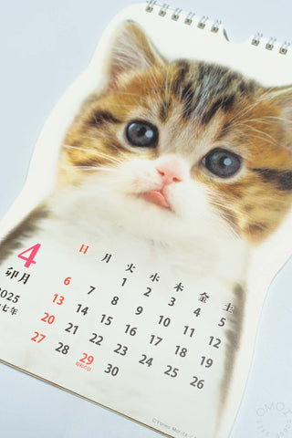 2025 Cat Die-Cut Wall Calendar