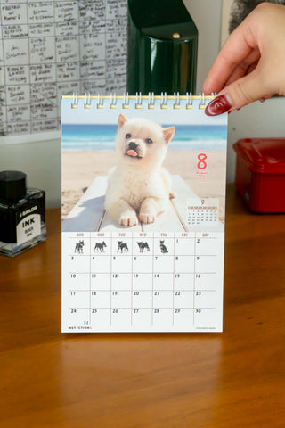 2025 Shiba Inu Desk Calendar