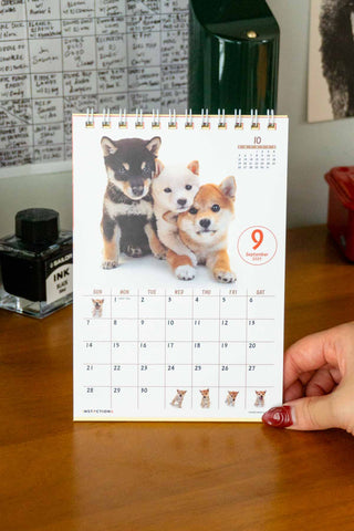 2025 Shiba Inu Desk Calendar