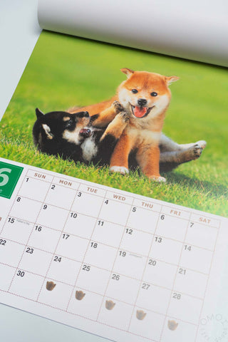 2025 Shiba Inu Wall Calendar