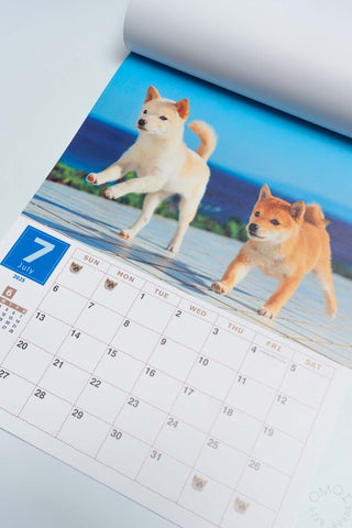 2025 Shiba Inu Wall Calendar