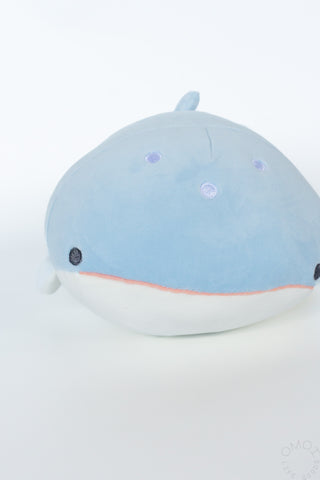 Close up of whale shark plush on a white background