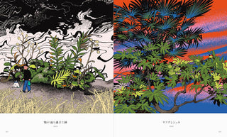 tomidoron: The Art of Tomii Masako