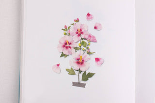 Appree Pressed Flower Stickers Rose of Sharon