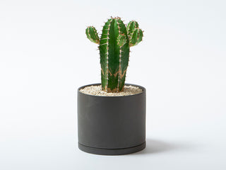 KINTO PLANT POT 191_ 3in