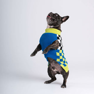 Verloop Checkerboard Dog Sweater Lime Cobalt