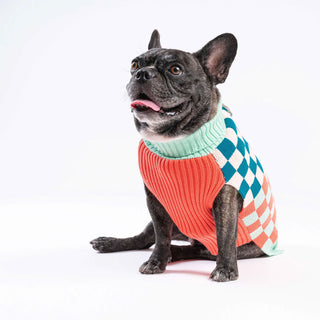 Verloop Checkerboard Dog Sweater Melon Jade