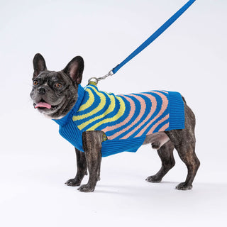 Verloop Sound Wave Dog Sweater Lime Cobalt