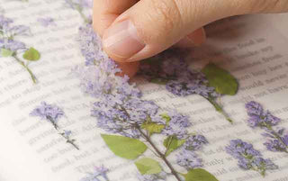 Appree Pressed Flower Stickers Lilac