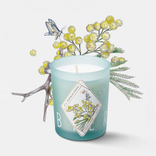 Kerzon Herbarium Candle Fleur de Mimosa