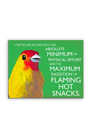 Flaming Hot Snacks Card