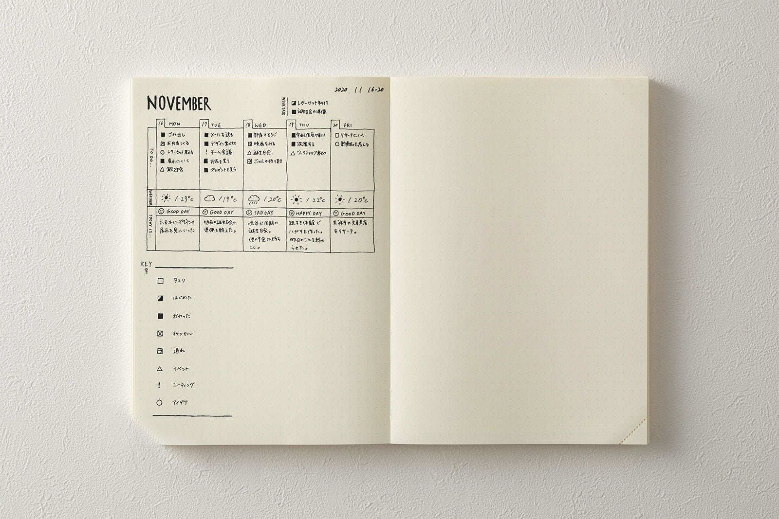 Midori - MD Notebook Journal Codex A5 Plastic Cover